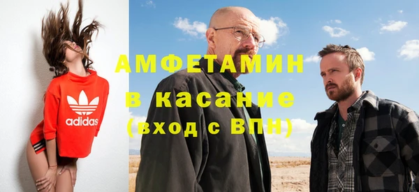 амф Ельня