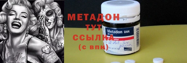 амф Ельня