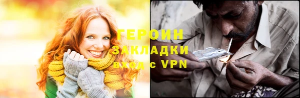 амф Ельня