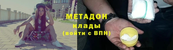 амф Ельня