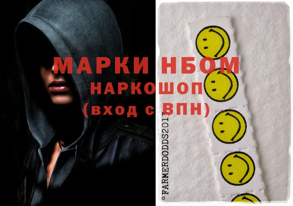 амф Ельня