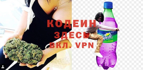 амф Ельня