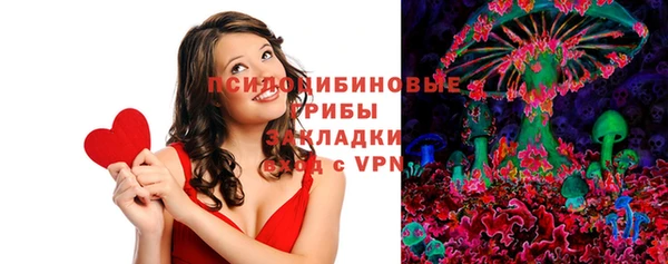 амф Ельня