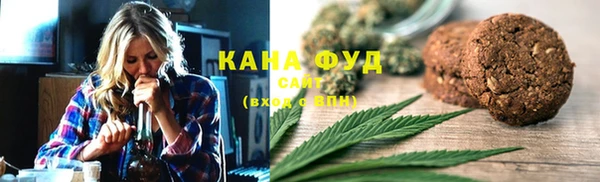 амф Ельня