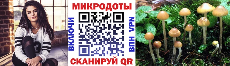 Псилоцибиновые грибы MAGIC MUSHROOMS  где купить наркоту  кракен вход  Каменка 